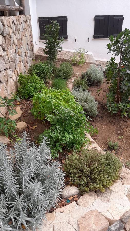 شقة Ulivo كوارتو سانتيلينا المظهر الخارجي الصورة