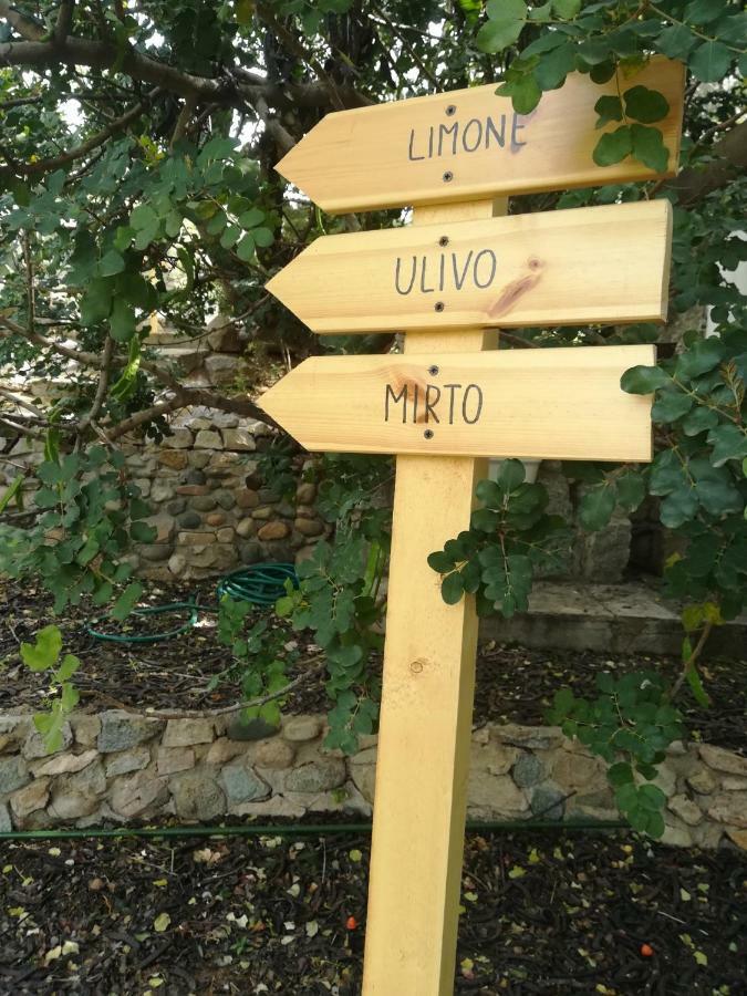 شقة Ulivo كوارتو سانتيلينا المظهر الخارجي الصورة