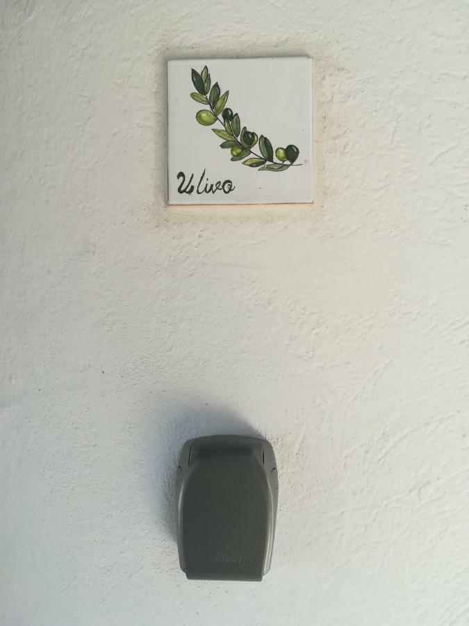 شقة Ulivo كوارتو سانتيلينا المظهر الخارجي الصورة